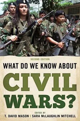 Mit tudunk a polgárháborúkról?, második kiadás - What Do We Know about Civil Wars?, Second Edition