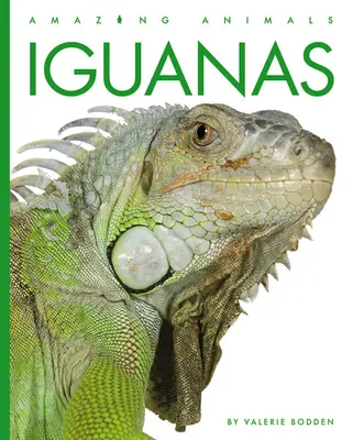 Leguánok - Iguanas