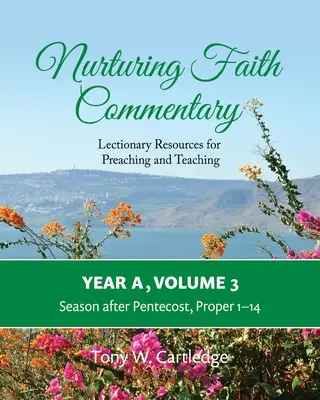 Nurturing Faith Commentary, A év, 3. kötet: Lekcionáriumi források az igehirdetéshez és tanításhoz - Pünkösd utáni évszak: 1-14. - Nurturing Faith Commentary, Year A, Volume 3: Lectionary Resources for Preaching and Teaching-Season after Pentecost: Proper 1-14