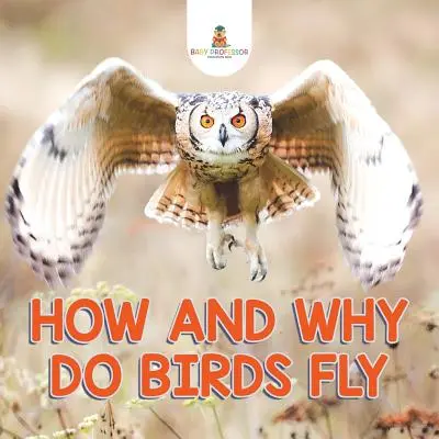 Hogyan és miért repülnek a madarak - How and Why Do Birds Fly
