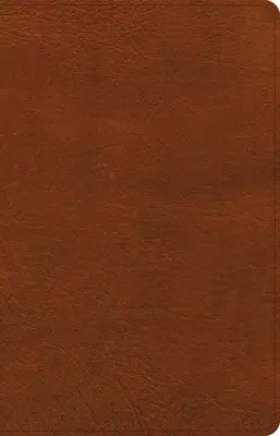 CSB Thinline Bible, Burnt Sienna Leathertouch, Vékonyvonalas CSB Biblia, égett sziéna bőrhatású - CSB Thinline Bible, Burnt Sienna Leathertouch