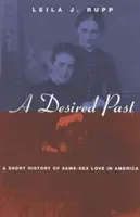 A vágyott múlt: Az azonos neműek szerelmének rövid története Amerikában - A Desired Past: A Short History of Same-Sex Love in America