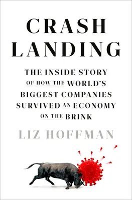 Crash Landing: Hogyan élték túl a világ legnagyobb vállalatai a szakadék szélén álló gazdaságot? - Crash Landing: The Inside Story of How the World's Biggest Companies Survived an Economy on the Brink