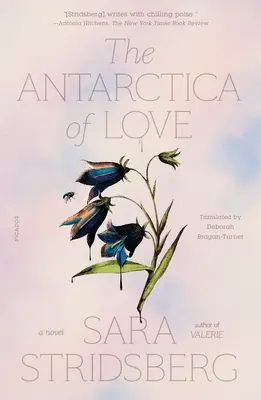 A szerelem Antarktisza - The Antarctica of Love