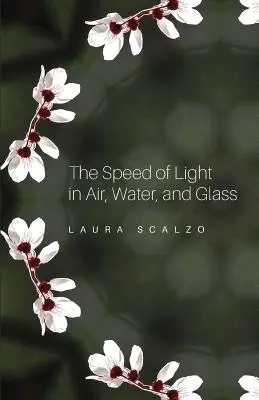 A fény sebessége a levegőben, a vízben és az üvegben - The Speed of Light in Air, Water, and Glass