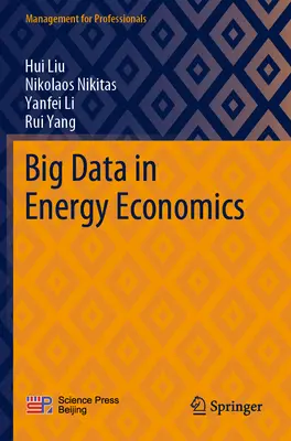 Nagy adatok az energiagazdaságtanban - Big Data in Energy Economics