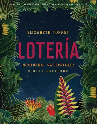 Lotera: Éjszakai nyereményjátékok - Lotera: Nocturnal Sweepstakes