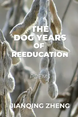 Az átnevelés kutyás évei: Versek - The Dog Years of Reeducation: Poems