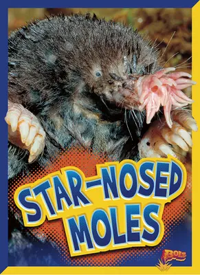 Csillagorrú vakondok - Star-Nosed Moles