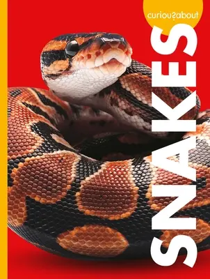 Kíváncsiak a kígyókra - Curious about Snakes