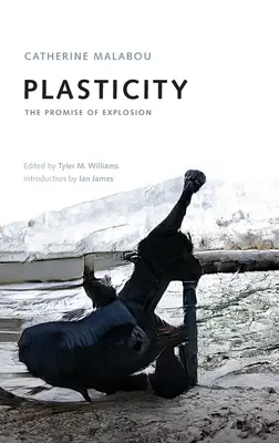 Plaszticitás: A robbanás ígérete - Plasticity: The Promise of Explosion