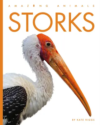 Gólyák - Storks