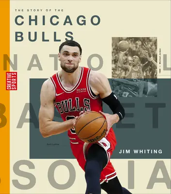 A Chicago Bulls története - The Story of the Chicago Bulls