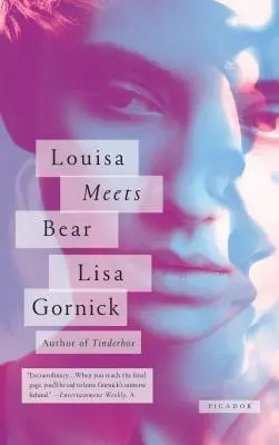 Louisa találkozik a medvével: történetek - Louisa Meets Bear: Stories