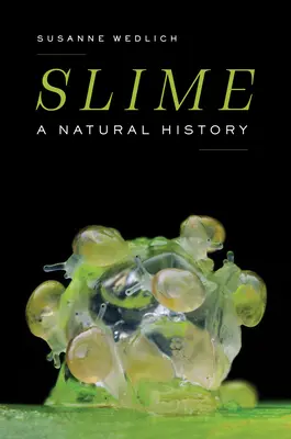 Slime: A Natural History