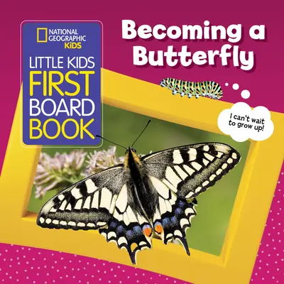 Little Kids First Board Book: Board Board Board Board Board Board: Becoming a Butterfly - Little Kids First Board Book: Becoming a Butterfly