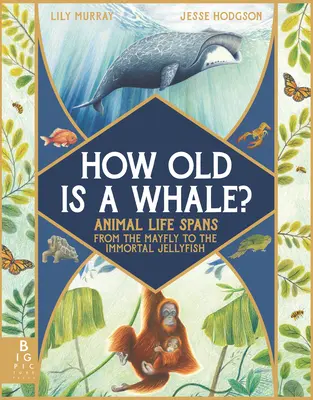 Hány éves egy bálna?: Állati életszakaszok a májlegytől a halhatatlan medúzáig - How Old Is a Whale?: Animal Life Spans from the Mayfly to the Immortal Jellyfish