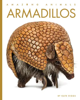 Armadillos