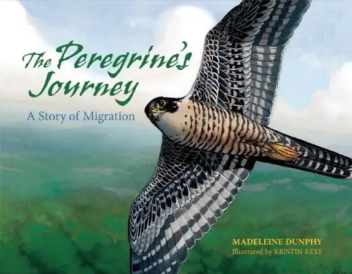 A peregrinus utazása: A vándorlás története - The Peregrine's Journey: A Story of Migration