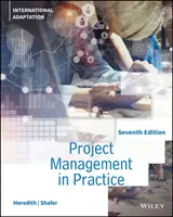 Projektmenedzsment a gyakorlatban - Project Management in Practice