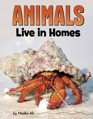 Az állatok otthonban élnek - Animals Live in Homes