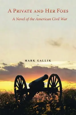 Egy közlegény és ellenségei: Az amerikai polgárháború regénye - A Private and Her Foes: A Novel of the American Civil War