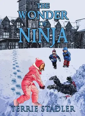 A ninja csodája - The Wonder of Ninja