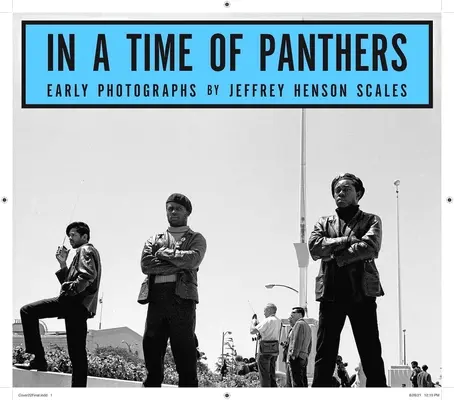 A párducok idején: Korai fényképek - In a Time of Panthers: Early Photographs