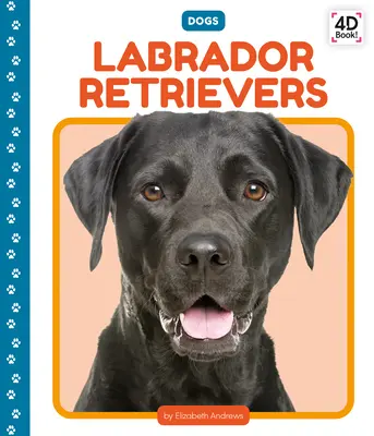 Labrador retrieverek - Labrador Retrievers