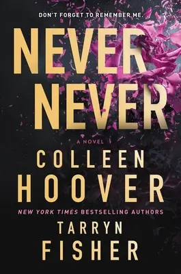 Never Never Never: A Twisty, Angsty Romance - Never Never: A Twisty, Angsty Romance