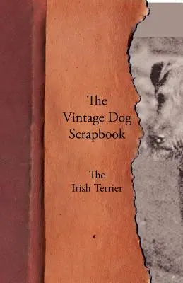 A Vintage Dog Scrapbook - Az ír terrier - The Vintage Dog Scrapbook - The Irish Terrier