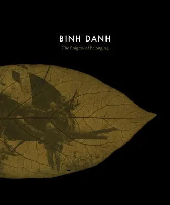 Binh Danh: A hovatartozás rejtélye - Binh Danh: The Enigma of Belonging