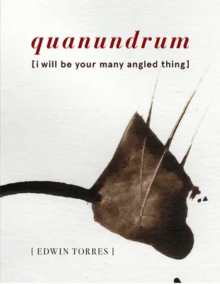 Quanundrum: [Én leszek a te sokszögletű dolgod] - Quanundrum: [I Will Be Your Many Angled Thing]