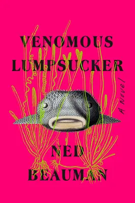 Méregzsákos göröngyszopó - Venomous Lumpsucker