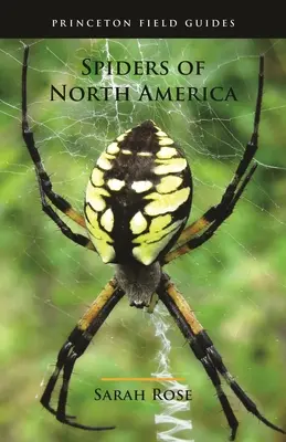 Észak-Amerika pókjai - Spiders of North America