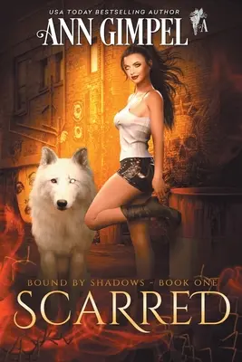 Scarred: Városi fantasy - Scarred: Urban Fantasy