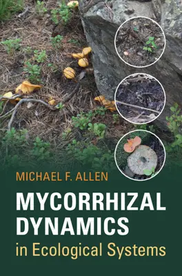 Mikorrhiza dinamika az ökológiai rendszerekben - Mycorrhizal Dynamics in Ecological Systems