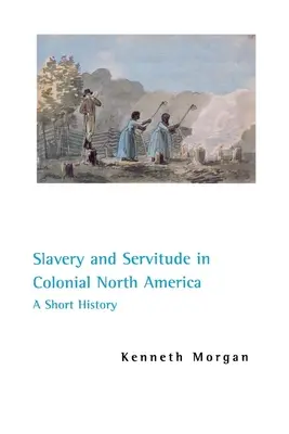 Rabszolgaság és szolgaság a gyarmati Észak-Amerikában: A Short History - Slavery and Servitude in Colonial North America: A Short History