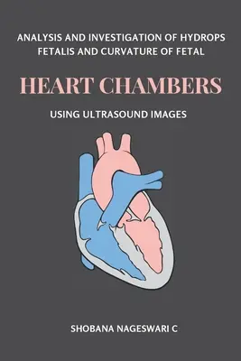 A Hydrops Fetalis és a magzati szívkamrák görbületének elemzése és vizsgálata ultrahangképek segítségével - Analysis and Investigation of Hydrops Fetalis and Curvature of Fetal Heart Chambers Using Ultrasound Images