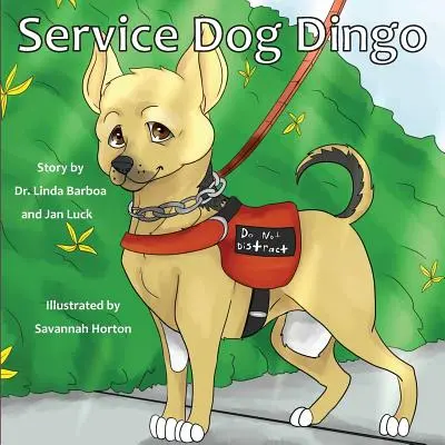 Dingo szolgálati kutya - Service Dog Dingo