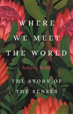 Ahol találkozunk a világgal: Az érzékek története - Where We Meet the World: The Story of the Senses