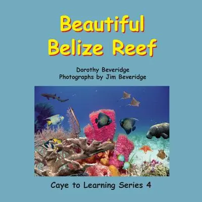 Gyönyörű belizei zátony - Beautiful Belize Reef