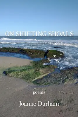 Az elmozduló zátonyokról - On Shifting Shoals