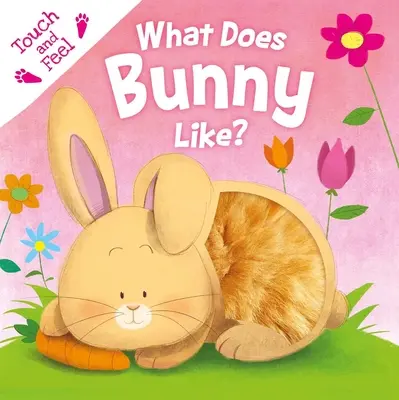 Mit szeret a nyuszi?: Touch & Feel Board Book - What Does Bunny Like?: Touch & Feel Board Book