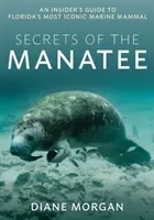 A lamantin titkai: Bennfentes útmutató Florida legikonikusabb tengeri emlőséről - Secrets of the Manatee: An Insider's Guide to Florida's Most Iconic Marine Mammal