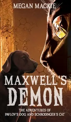 Maxwell démona - Maxwell's Demon