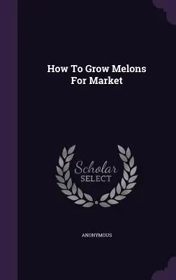 Hogyan termesszünk dinnyét a piacra - How To Grow Melons For Market