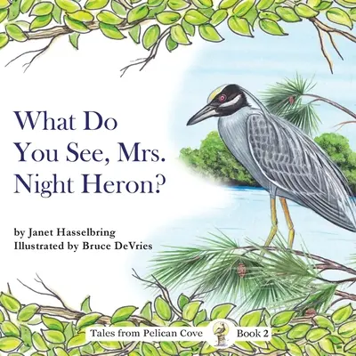 Mit lát, Mrs. Night Heron? - What Do You See, Mrs. Night Heron?