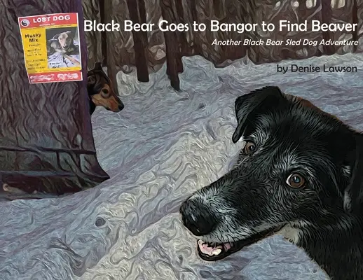 Fekete Medve Bangorba megy, hogy megtalálja a hódot: Egy másik fekete medve szánhúzó kutyás kaland - Black Bear Goes to Bangor to Find Beaver: Another Black Bear Sled Dog Adventure