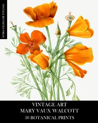 Vintage Art: Mary Vaux Walcott 30 botanikai nyomatok - Vintage Art: Mary Vaux Walcott 30 Botanical Prints